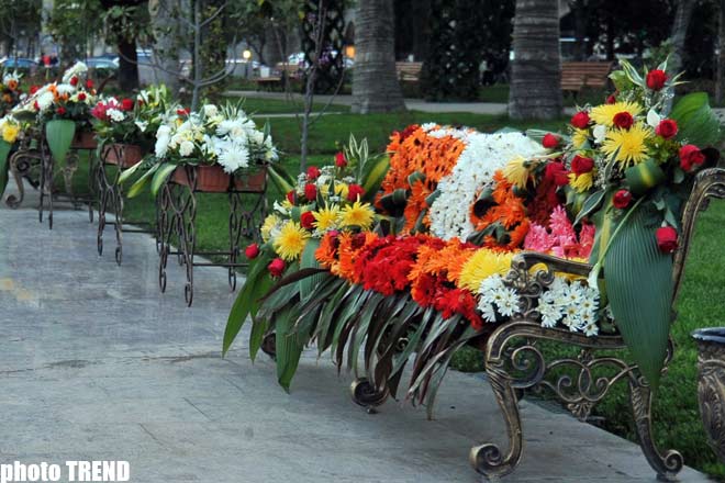 Bakı parklarında Gül bayramı keçirilir - FOTOSESSİYA